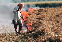 Photo of पंजाब में पराली जलाने के मामले घटे