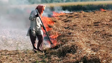 Photo of पंजाब में पराली जलाने के मामले घटे