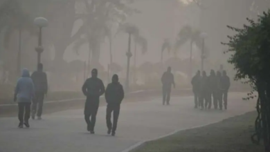 Photo of एमपी में कड़ाके की ठंड, शहडोल 6.9 डिग्री के साथ सबसे ठंडा