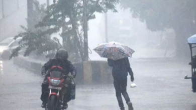 Photo of राजस्थान में उत्तरी-पश्चिमी हवाओं के असर से ठंड बढ़ी,  बारिश का अलर्ट जारी