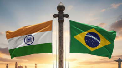 Photo of भारत ब्राजील के उष्णकटिबंधीय वन कोष में बना  पर्यवेक्षक