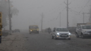 Photo of राजस्थान में बारिश के बाद बढ़ी ठंड, कई जिलों में घने कोहरे का अलर्ट