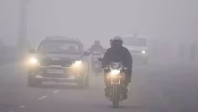 Photo of एमपी में बर्फीली हवाओं के बीच कड़ाके की ठंड ,शीतलहर का अलर्ट