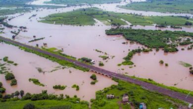 Photo of मराठवाड़ा में सिर्फ छह महीनों में 537 किसानों ने की खुदकुशी