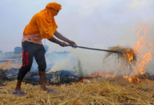 Photo of पंजाब में पराली जलने पर वायु गुणवत्ता प्रबंधन आयोग ने किसानों को लगाई फटकार