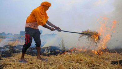 Photo of पंजाब में पराली जलने पर वायु गुणवत्ता प्रबंधन आयोग ने किसानों को लगाई फटकार