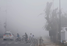 Photo of पंजाब में शीत लहर,  मौसम विभाग ने जारी की नई चेतावनी