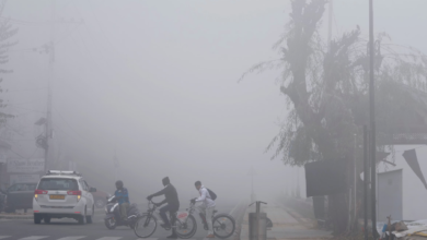 Photo of पंजाब में शीत लहर, मौसम विभाग ने जारी की नई चेतावनी
