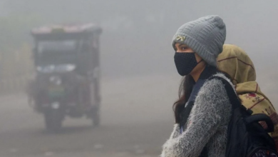 Photo of हरियाणा में उत्तरी हवाओं का असर: दिन व रात का तापमान लुढ़कने से बढ़ी ठंड