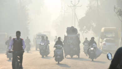 Photo of राजस्थान में सर्दी ने दिखाई तीखी दस्तक, 12 जिलों में पारा 10 डिग्री से नीचे