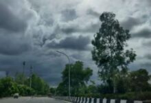 Photo of बर्फीली हवाओं ने बढ़ाई ठंड, मध्यप्रदेश में पारा 6 डिग्री तक लुढ़का