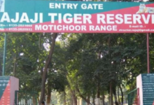 Photo of देहरादून: सैलानियों के लिए खुलेगा राजाजी टाइगर रिजर्व पार्क