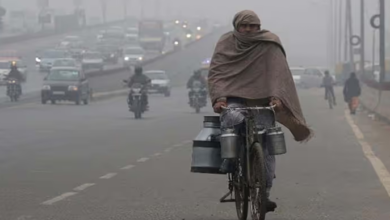 Photo of एमपी में ठंड से थोड़ी राहत, अब घने कोहरे की मार