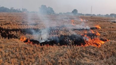Photo of हरियाणा में सख्त हुए अफसर: पराली जलाने पर 9 किसानों की गिरफ्तारी
