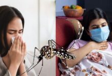 Photo of वायरल और डेंगू बुखार में क्या है अंतर? ऐसे करे पहचान