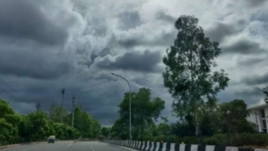 Photo of मध्यप्रदेश में बढ़ने लगी सर्दी, कई जिलों में आज हल्की बारिश के आसार