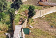 Photo of एमपी: हेलीकॉप्टर से पहली बार चला अनोखा रेस्क्यू अभियान