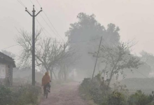 Photo of हरियाणा में तेजी से गिर रहा तापमान, पड़ने वाली है कड़ाके की ठंड
