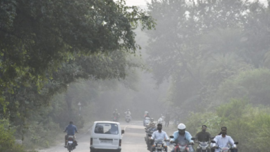 Photo of मध्यप्रदेश में दो दिन बाद फिर कड़ाके ठंड