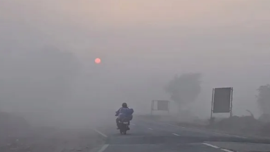 Photo of राजस्थान में समय से पहले बढ़ी सर्दी, फतेहपुर सबसे ठंडा