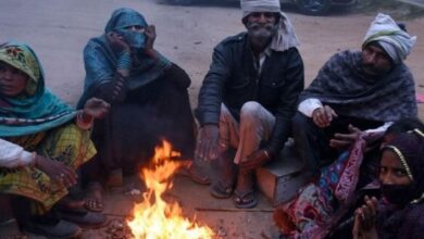 Photo of हरियाणा में शीत लहर का प्रकोप: हिसार में रात का पारा 6.3 पर पहुंचा