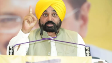 Photo of पंजाब के सरकारी अस्पतालों को मिलेंगे 300 स्पेशलिस्ट डॉक्टर: सीएम मान