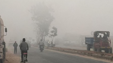 Photo of पंजाब में पारा 2.9 डिग्री पहुंचा: आज से दो दिन सात जिलों में कोल्ड वेव का अलर्ट