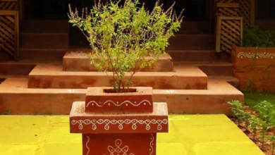 Photo of तुलसी विवाह पर बन रहे कई मंगलकारी योग