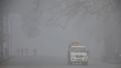 Photo of यूपी में शीतलहर का असर खत्म , मौसम विभाग ने जारी किया अलर्ट