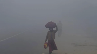 Photo of राजस्थान में कड़ाके की ठंड; सीजन में पहली बार पारा 5 डिग्री