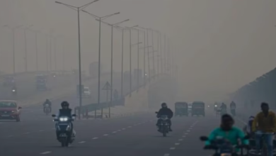 Photo of यूपी: नवंबर में दिसंबर जैसी सर्दी का अहसास