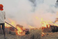 Photo of यूपी के इस जिले में सेटेलाइट से पकड़ में आए पराली जलाने वाले