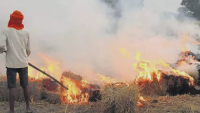 Photo of यूपी के इस जिले में सेटेलाइट से पकड़ में आए पराली जलाने वाले