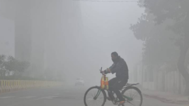 Photo of यूपी में ठंड ने पकड़ी रफ्तार पारा 10 डिग्री से नीचे