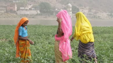 Photo of राजस्थान के किसानों को केंद्र की बड़ी सौगात