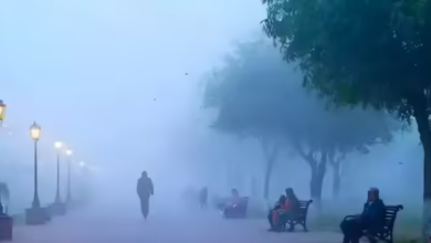 Photo of झारखंड में अगले 5 दिन शुष्क रहेगा मौसम, 3 दिन बढ़ेगा पारा फिर गिरेगी ठंड