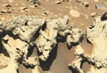 Photo of मंगल परनासाने खोजा रहस्यमय ‘एलियन पत्थर’, ग्रह की प्राकृतिक बनावट से बिल्कुल अलग