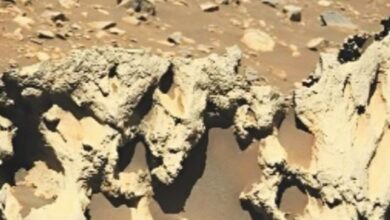 Photo of मंगल परनासाने खोजा रहस्यमय ‘एलियन पत्थर’, ग्रह की प्राकृतिक बनावट से बिल्कुल अलग