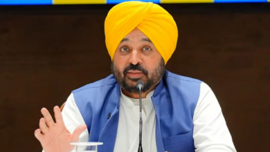 Photo of पंजाब यूनिवर्सिटी की सीनेट चुनावों के ऐलान पर सीएम मान का बड़ा बयान