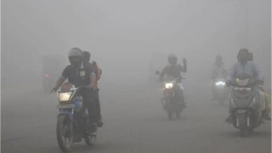Photo of झारखंड में ठंड और कोहरे की भयंकर मार, इन जिलों में 10 डिग्री से नीचे पारा