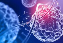 Photo of अब बैक्टीरिया को ‘हैक’ करके होगा कैंसर का इलाज जाने कैसे