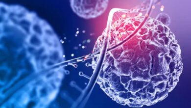 Photo of अब बैक्टीरिया को ‘हैक’ करके होगा कैंसर का इलाज जाने कैसे