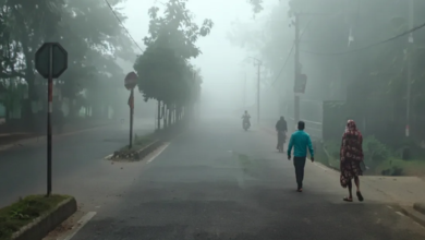 Photo of शीतलहर की चपेट में ओडिशा, 6 शहरों का पारा 10°C से नीचे
