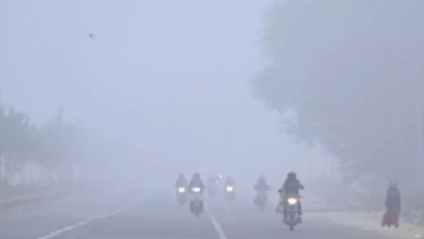 Photo of राजस्थान में कोल्ड वेव का अलर्ट जारी