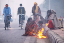 Photo of राजस्थान में शूरू हुई कड़ाके की ठंड; फतेहपुर में पारा जीरो डिग्री 
