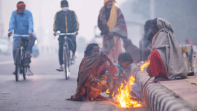Photo of राजस्थान में शूरू हुई कड़ाके की ठंड; फतेहपुर में पारा जीरो डिग्री