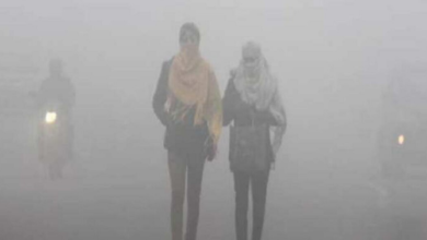 Photo of राजस्थान में 25 दिसंबर तक सामान्य सर्दी, क्रिसमस के बाद बढ़ेगी ठंड