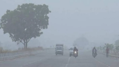 Photo of हरियाणा में शीतलहर का प्रकोप जारी, तीन डिग्री तक पहुंचा पारा