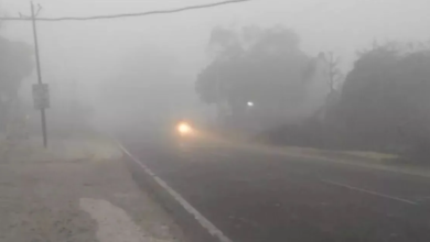 Photo of उत्तराखंड में सर्दी का सितम बढ़ने की आशंका, कोहरे का येलो अलर्ट जारी
