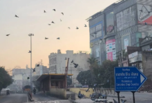 Photo of पंजाब में शीतलहर को लेकर यलो अलर्ट जारी